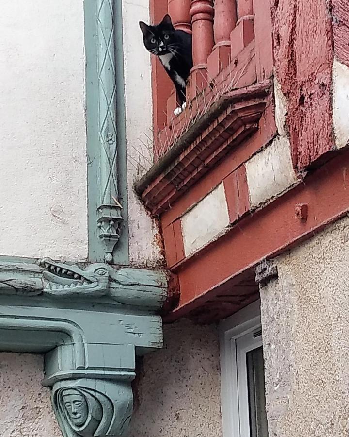 Apartamento Passage Du Cygne Blois Exterior foto